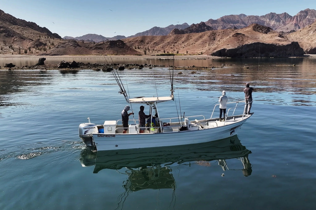 Off the Grid: Fishing Baja’s Bay of LA