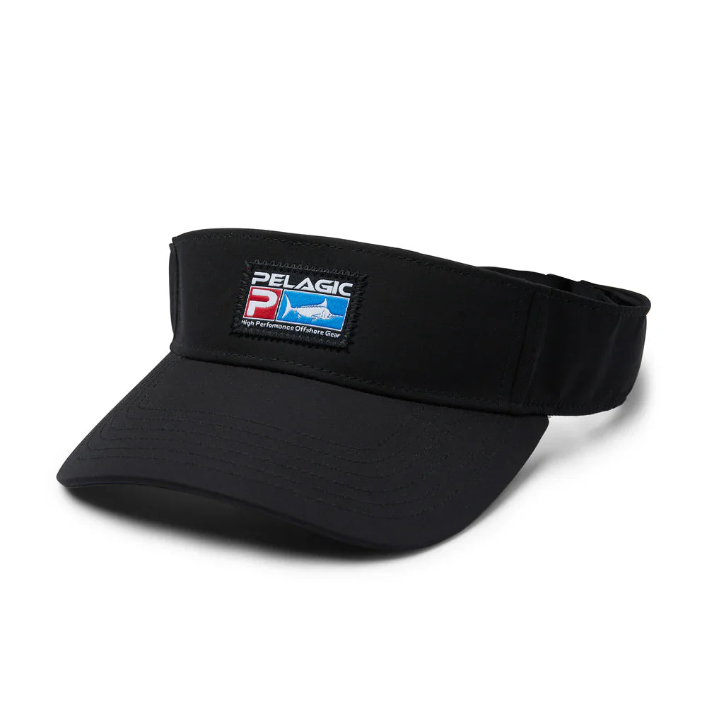 VISORS