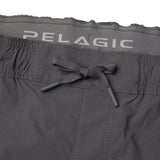 Palomar Pant