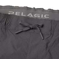 Palomar Pant